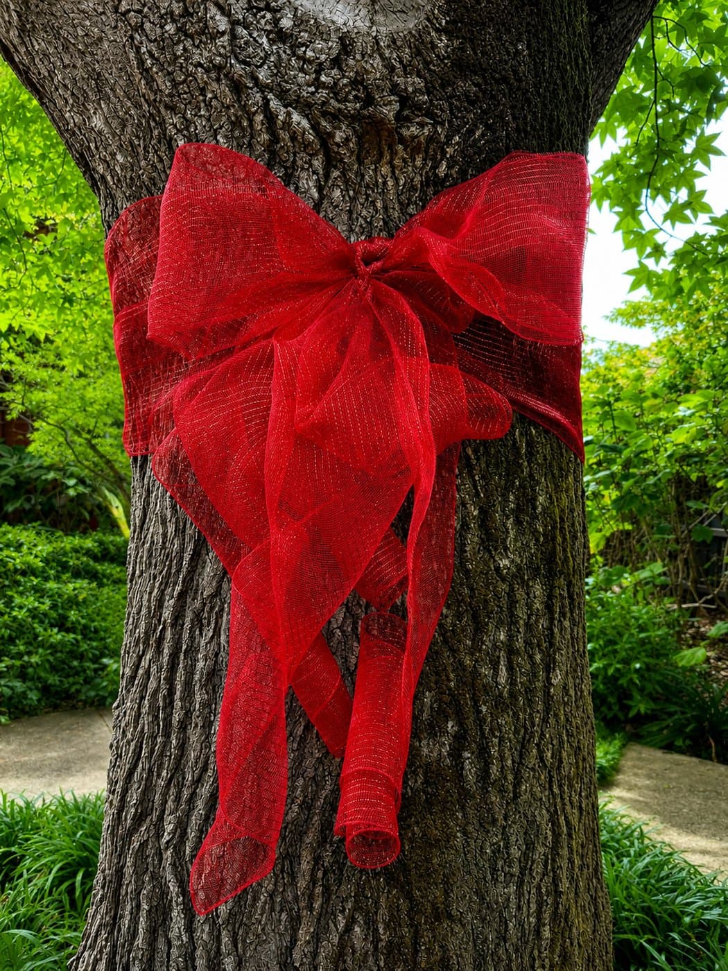 Red bow tied around a tree trunk beside a garden path